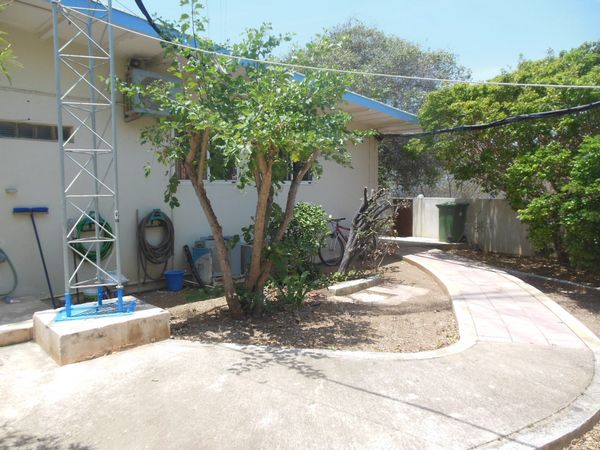 Click to see next picture