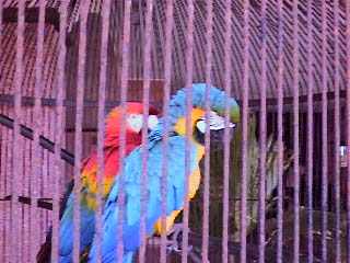 IMG00037.JPG (40960 bytes)
