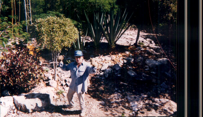 view of Hamlet from the ruins